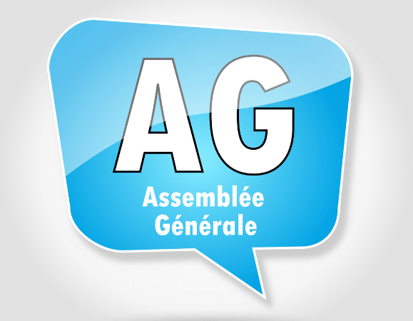 L’assemblée générale ordinaire (AGO)