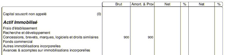 actif-immobilisations-incorporelles