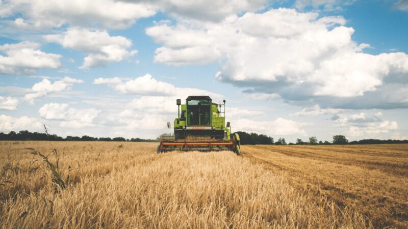 Le fonds agricole