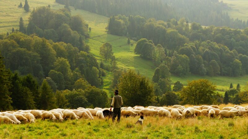 La Politique Agricole Commune