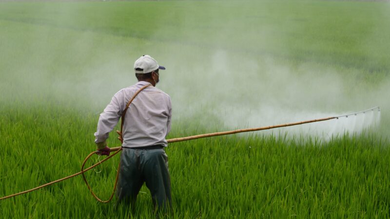 Réduction des pesticides