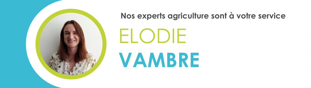 Dispositifs Fiscaux De L’activité Agricole | Blog Valoxy - Expertise ...