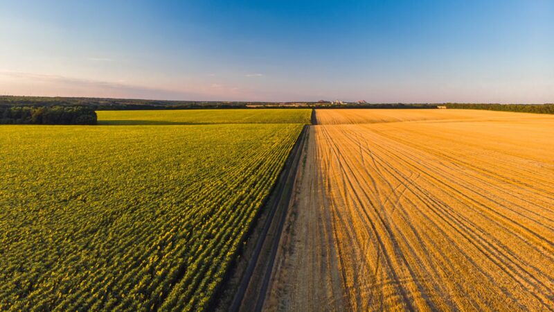 Dispositifs fiscaux de l’activité agricole