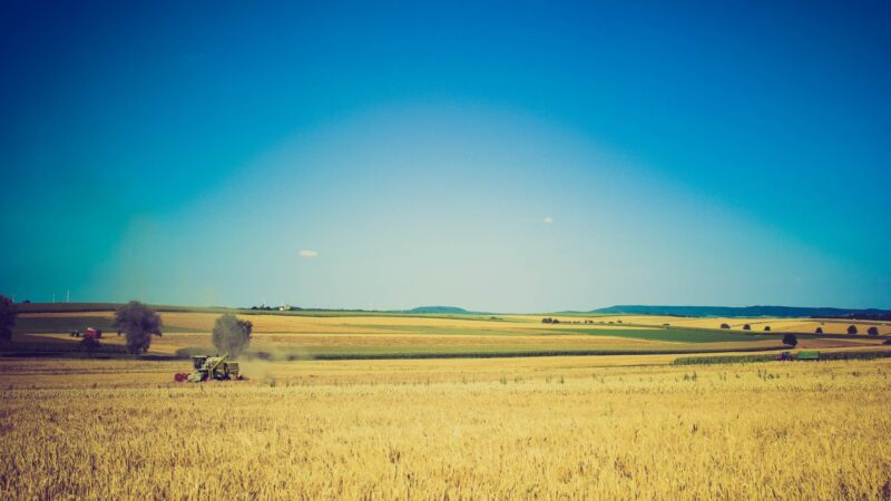 Fiscalité agricole 2024 : ce qui change !