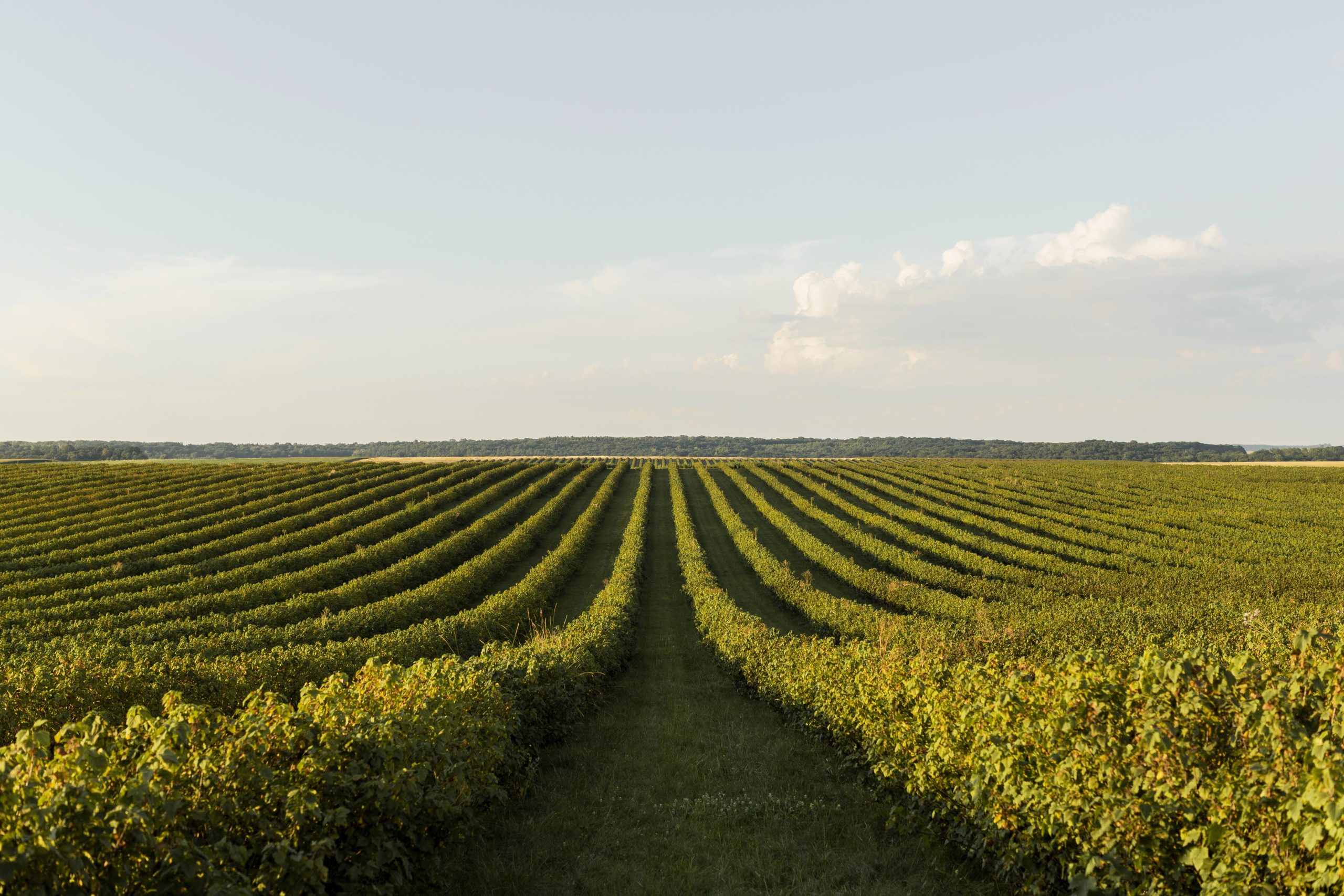 La Loi d’Orientation Agricole 2025