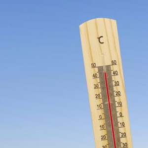 Canicule et travail