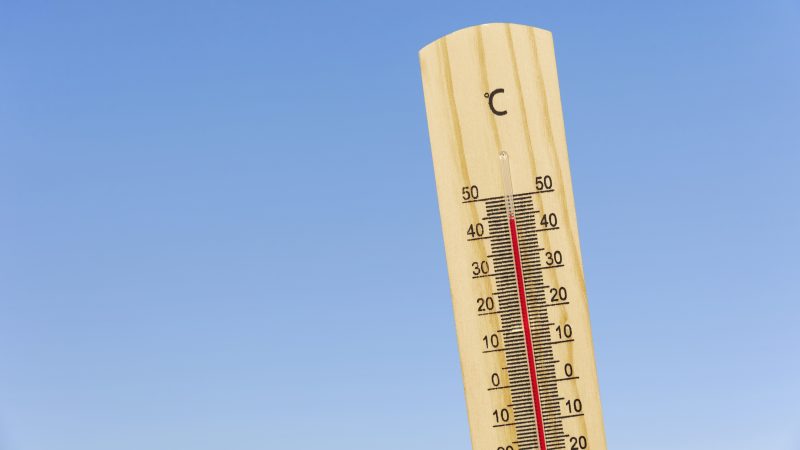 Canicule et travail