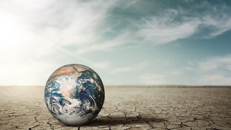 Qu’est-ce que les COP ?