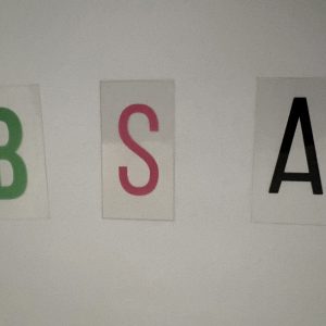 Le Bon de Souscription d’Actions (BSA)