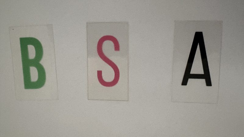 Le Bon de Souscription d’Actions (BSA)