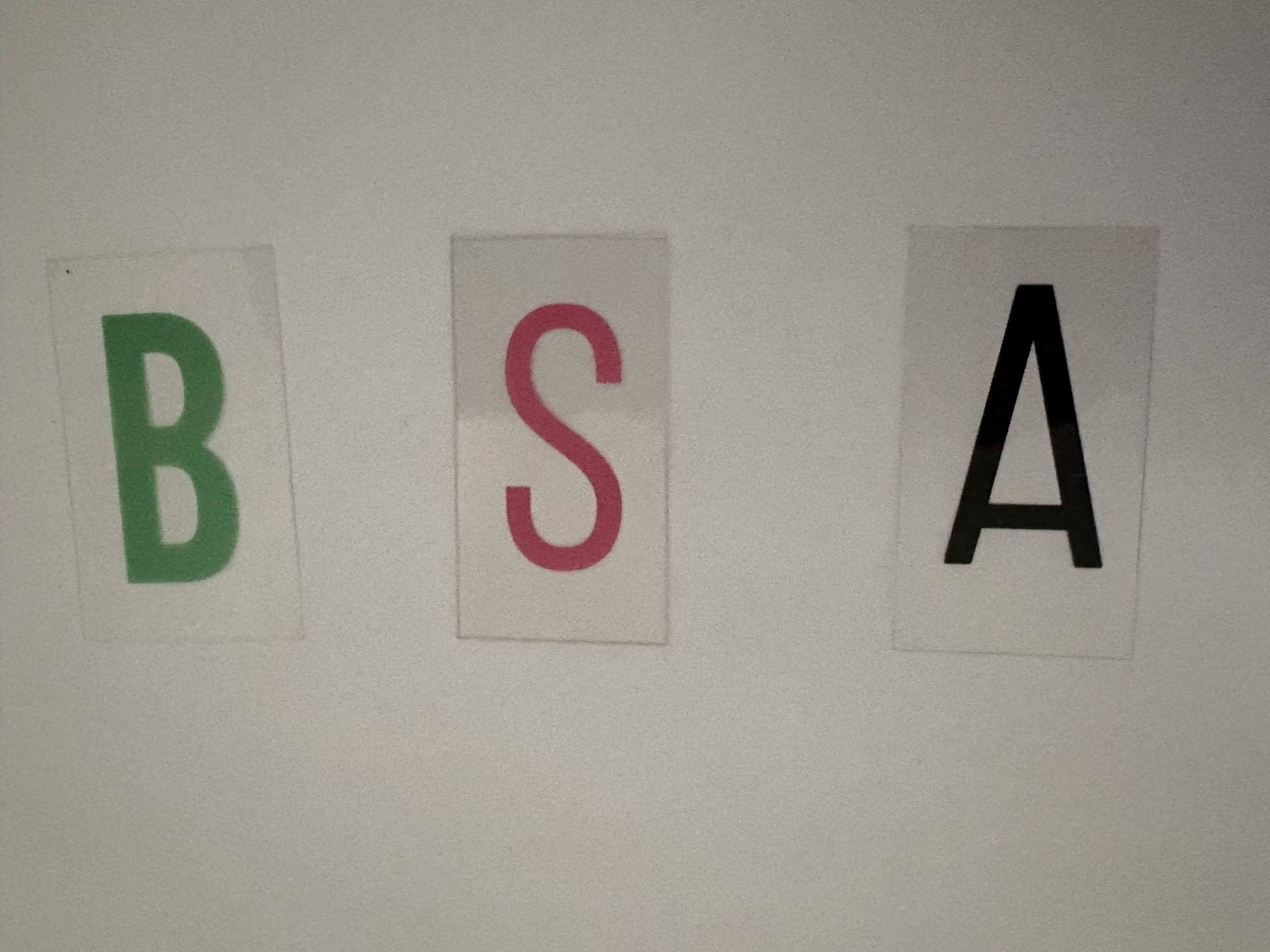 Le Bon de Souscription d’Actions (BSA)