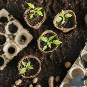 Le plan de développement des compétences (PDC)