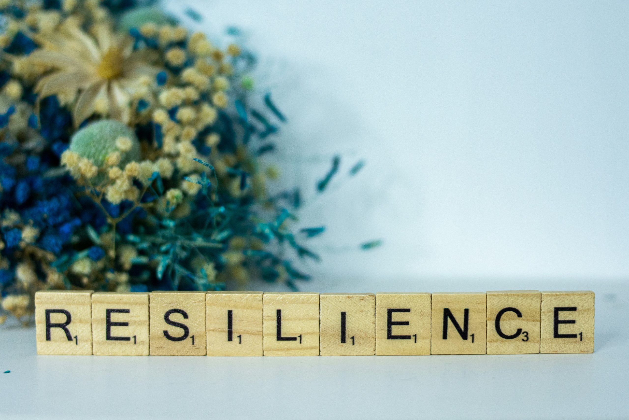 La résilience des compétences clés