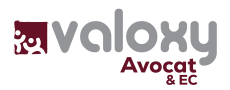 Logo - BE - Avocat-04
